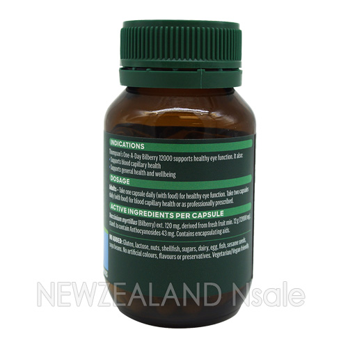 톰슨 원어데이 빌베리12000mg 60캡슐 1통