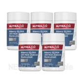 뉴트라라이프 빌베리 22000mg 플러스 블랙커런트 60캡슐 5통