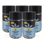 (오더베이스) 콤비타 PFL15 프로폴리스 100캡슐 5통 (캡슐형)